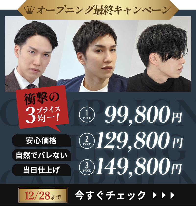 【オープン記念】メンズウィッグ・かつら 割引キャンペーン